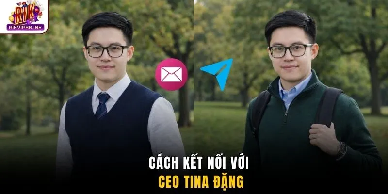 Cách kết nối với CEO